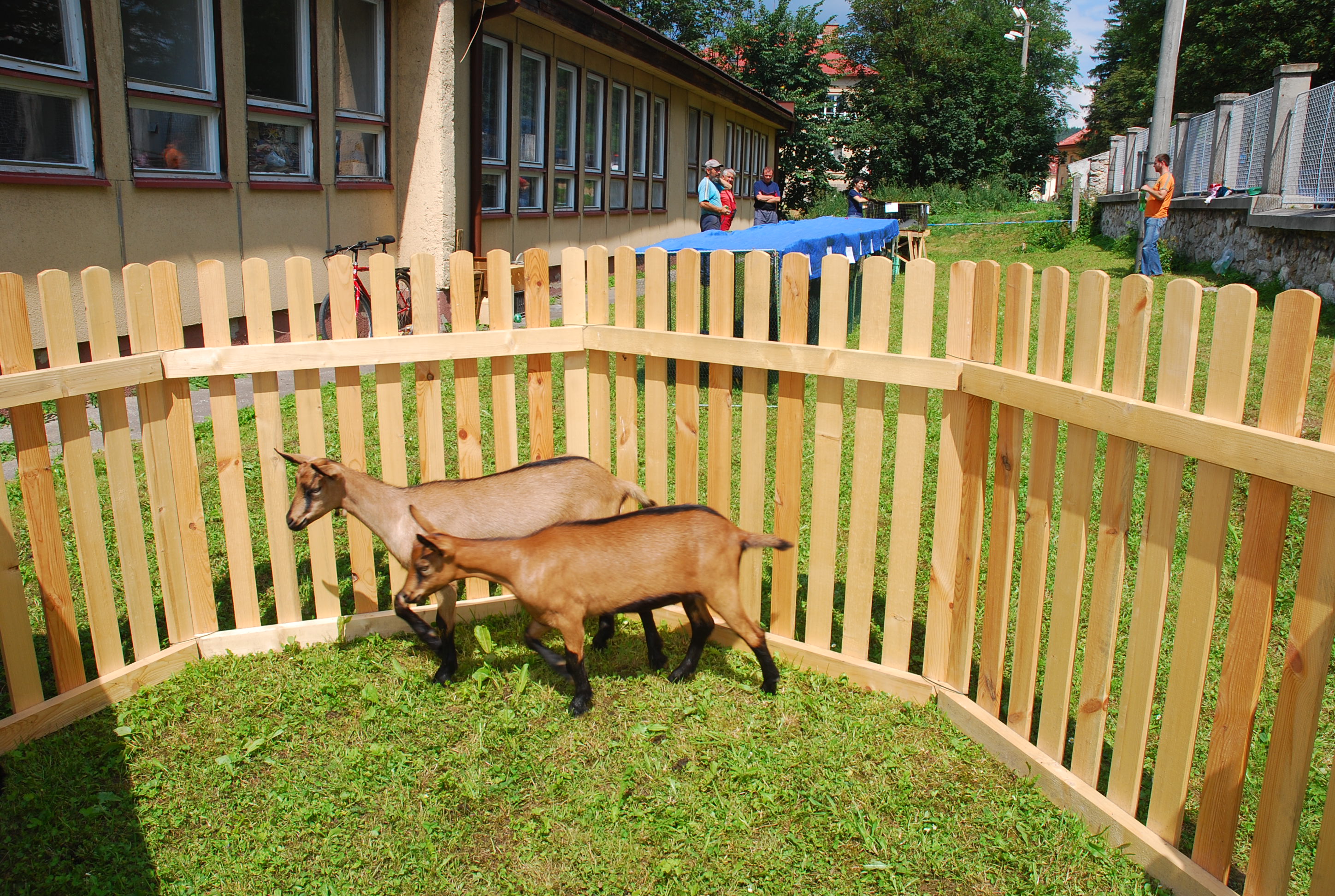 Fotogaléria 2007 - Prezentačná výstava miestnych drobnochovateľov (5) 2007 - Prezentačná výstava miestnych drobnochovateľov