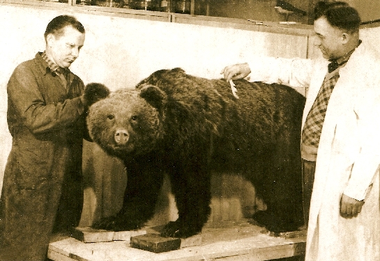 Cengel 3.jpg Cengel 3.jpg