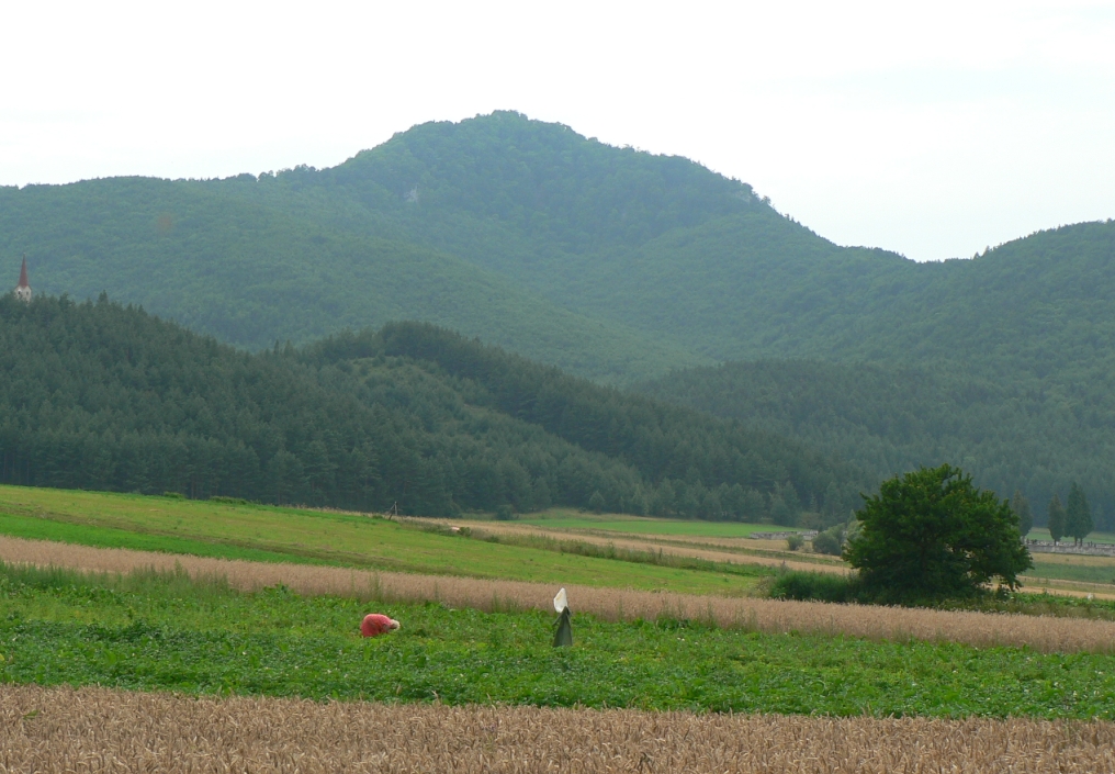 Fotogaléria Výstup na vrch Zniev (22) Výstup na vrch Zniev