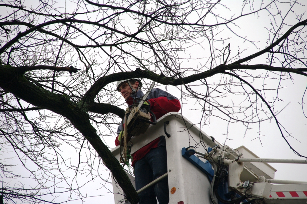 2014 - 03 Lazianska kaplnka - stromy