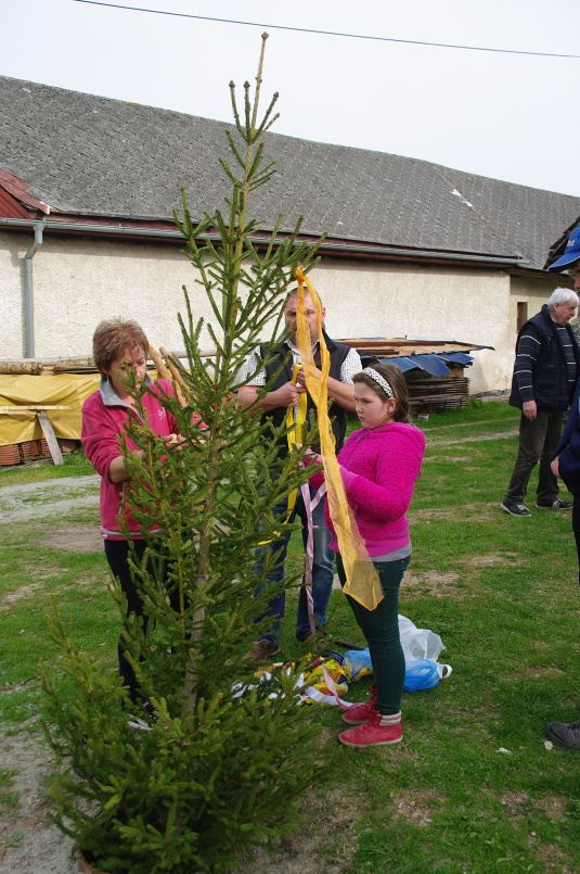 2015 - 05 Stavanie M�ja Lazany