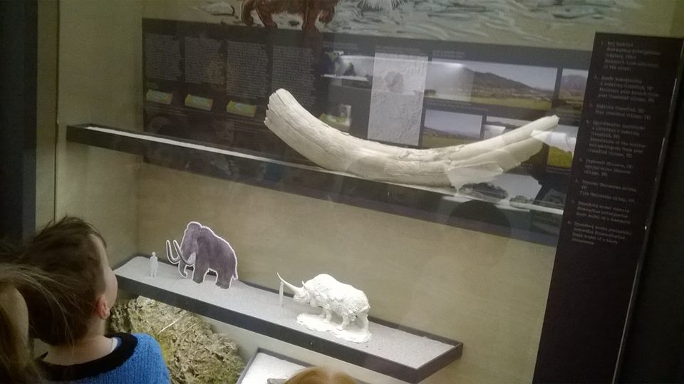 2017 - 04 Pred�kol�ci v M�zeu Andreja Kme�a