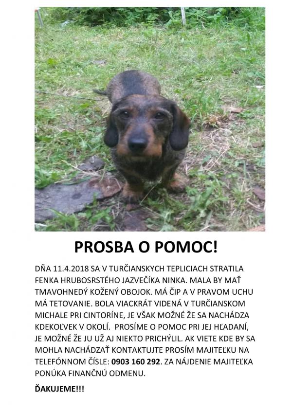 stratený jazvečík 2018-1.jpg stratený jazvečík 2018-1.jpg